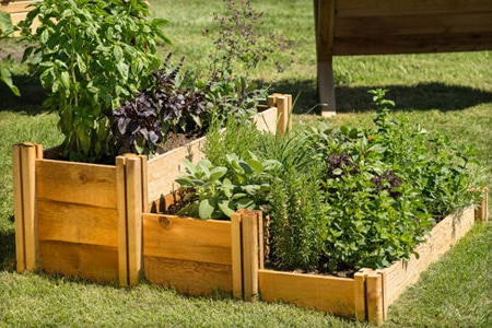 Garden Beds