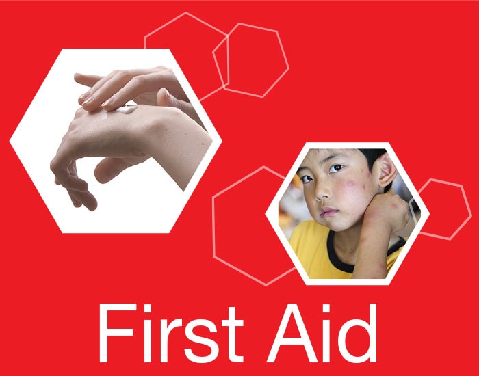 Kirkland Signature firstaid