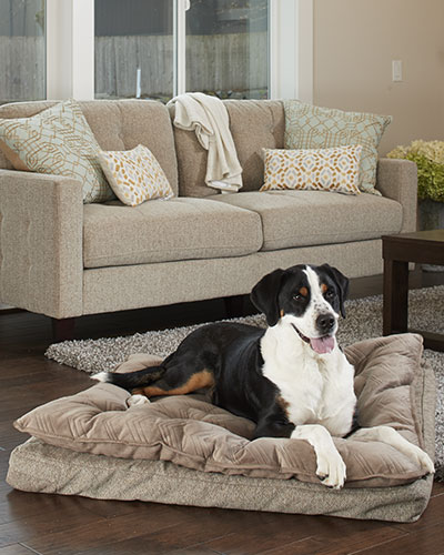 baby mattress used as dog bed