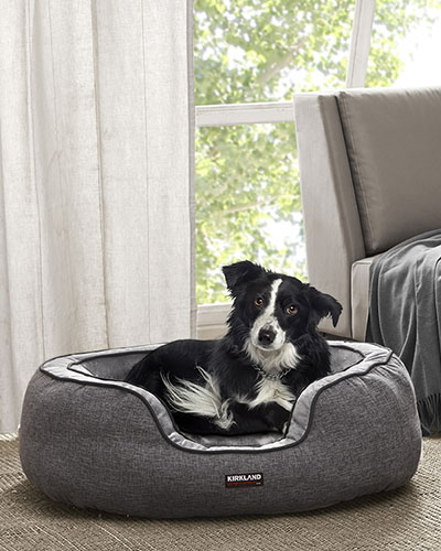 plastic dog beds the range