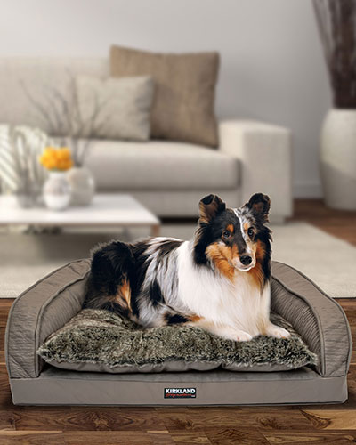 costco square dog bed